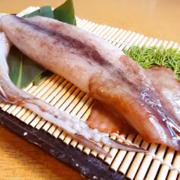 Grilled squid