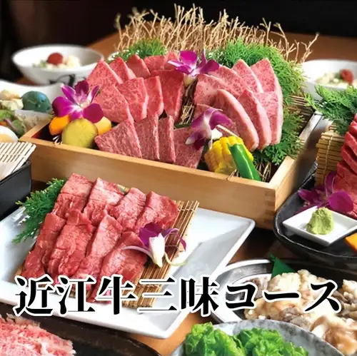 고기를 합리적으로