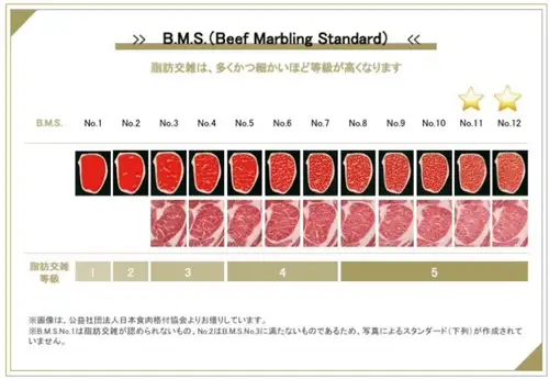最上級品でご提供