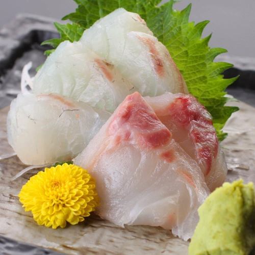 まぐろ刺身 / 真鯛刺身　各