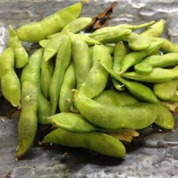 黑豆毛豆