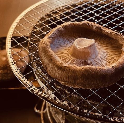 Grilled on a charcoal grill! Thick and delicious shiitake mushrooms