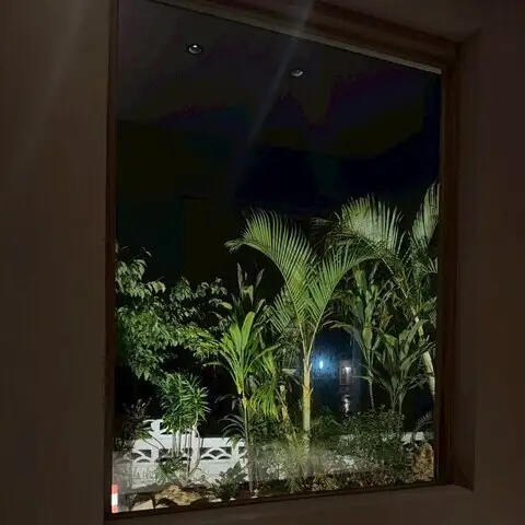 <p>大窓に広がる夜の亜熱帯植物。日常を忘れて沖縄らしさを満喫できる特別な空間です。おいしいあぐー豚を囲めば、旅の思い出話もさらに盛り上がります！</p>