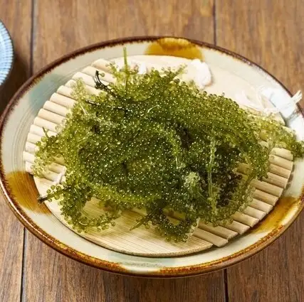 海ぶどう