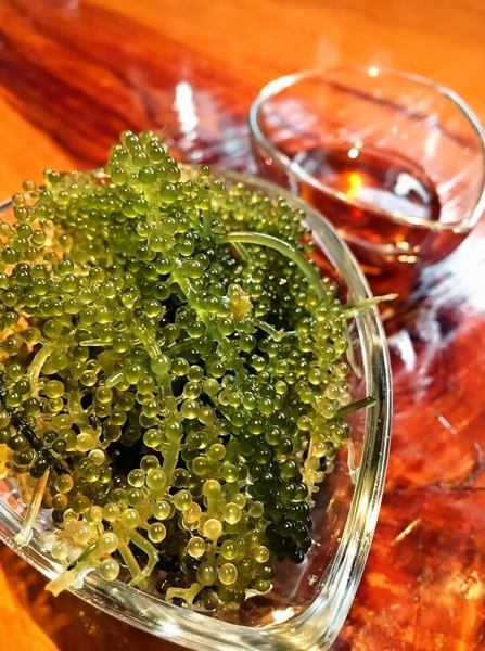 海ぶどう　販売開始！
