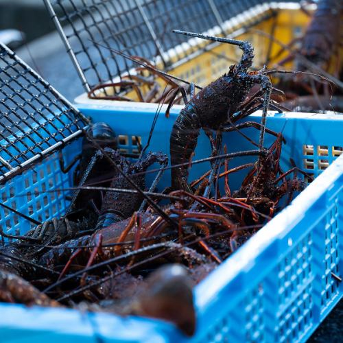 신선도 발군! 다채로운 매력을 만날 수 있는 전문점만의 구색