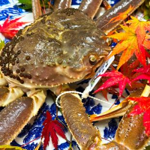 ずわい蟹満喫コース