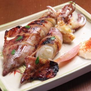 ヤリイカ　炭火焼き