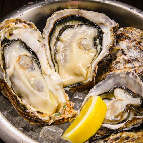 Delicious Hiroshima oysters
