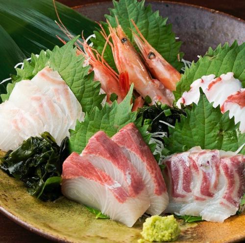 Miyagi & Iwate wild fish sashimi platter