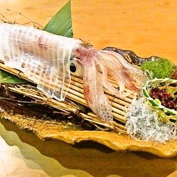 Live squid sashimi, small