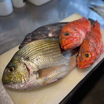 3月|3週目予約状況