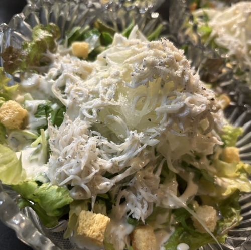 静岡しらすシーザーサラダ