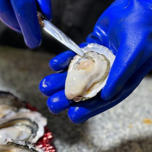 喜多嬉かきPlatinum