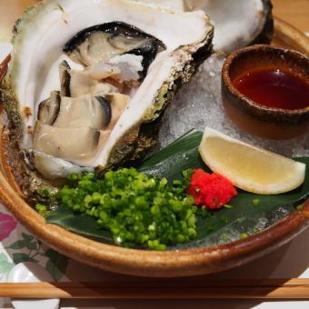 なんと！飲み放題時間無制限付き 【忘新年会コース￥7,000】⇒活かわはぎ/岩牡蠣/活いか/馬刺し 