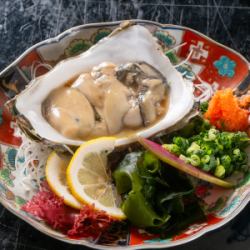 毎日入荷！糸島の岩牡蠣