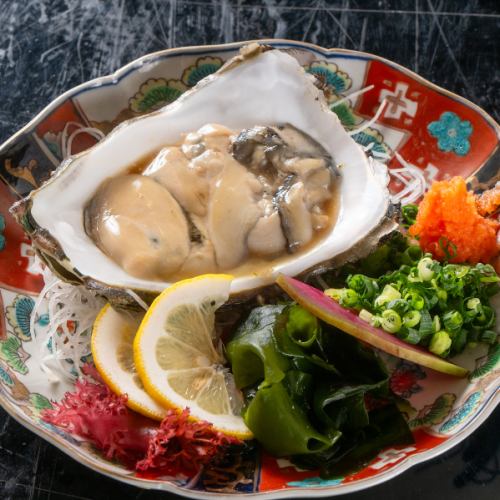 毎日入荷！糸島の岩牡蠣