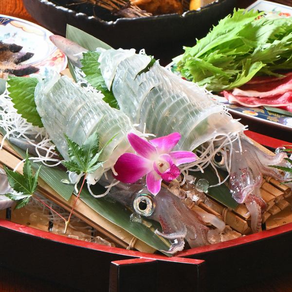 ≪毎日直接仕入れ！≫玄界灘の活きイカ