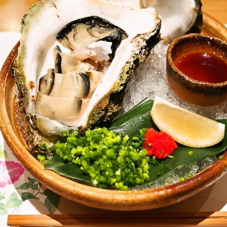 毎朝仕入れる新鮮な魚介をご堪能ください！個室・団体・宴会貸切