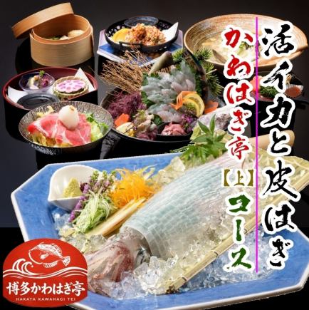 飲み放題時間無制限付き 【かわはぎ亭コース上¥6,000】⇒イカの活造り&活かわはぎ