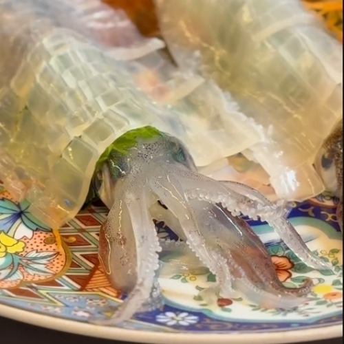 いかの活き造りランチ