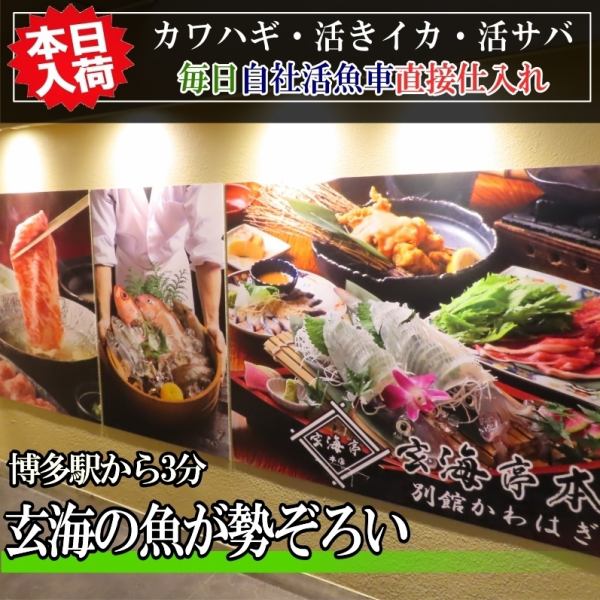 夏は岩ガキ、冬は真牡蠣、季節の活牡蠣 大量入荷！