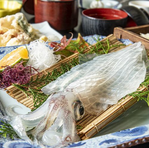 イカの活き造り御膳 (上)