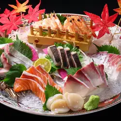 鮮魚刺し盛り　～一人前～