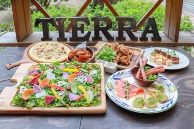 【含90分鐘無限暢飲】~附酪梨豬肉培根披薩~『休閒套餐』共6道菜⇒3,500日圓