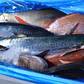 津本式の熟成魚や、全国各地から仕入れた鮮魚の鉄板焼