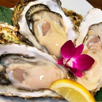 Support Sanriku! [YAMADA Oyster! Charity course full of oysters]