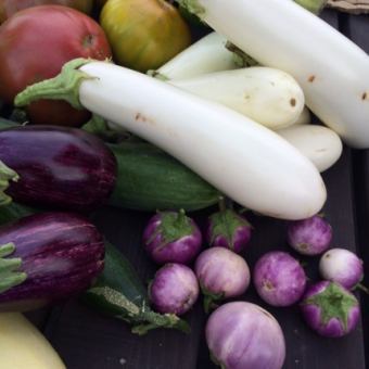色彩繽紛的時令蔬菜泡菜