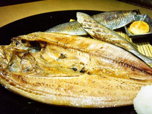 Opening of striped atka mackerel