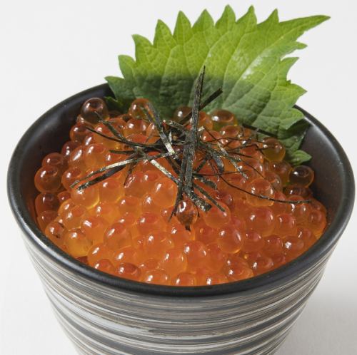 直接从北海道寄出的最好的鲑鱼子碗