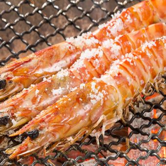 [Unlimited all-you-can-drink also available] 11-course "Beniju course" including grilled giant shrimp with seaweed salt from the Seto Inland Sea, 4,980 yen | Banquet