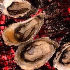 Extra large live oysters charcoal grilled