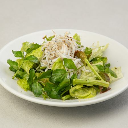 和歌山産 釜揚げしらすとクレソンのアテサラダ