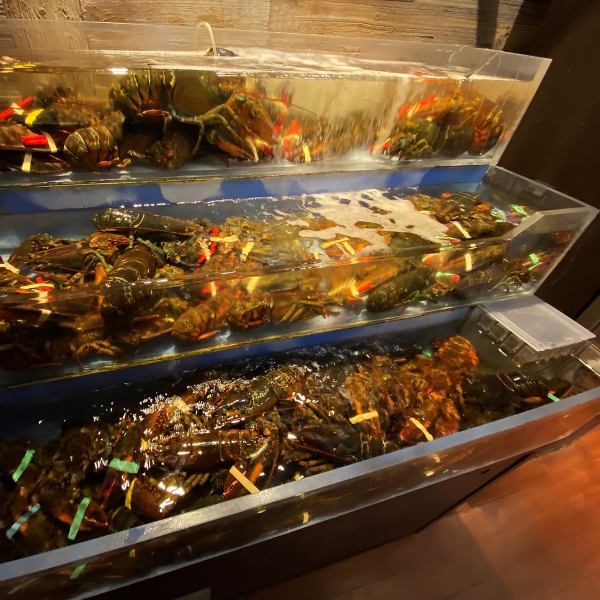 In order to provide the world's highest quality lobster, we have a dedicated tank in the store and store it in a live condition.Only those caught in the season are put into hibernation and stored.After that, the lobster, which is sent directly by air two times a week, is kept in an ideal live condition and shipped to the store every day.Please enjoy the live lobster with outstanding freshness