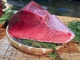 【최고】생본 참치 사시미