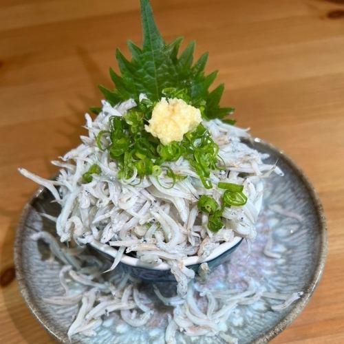 멸치 내려