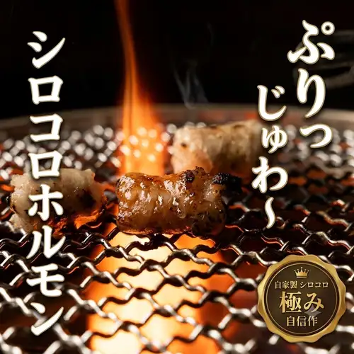 我们的首选推荐!Doraichi Hormone
