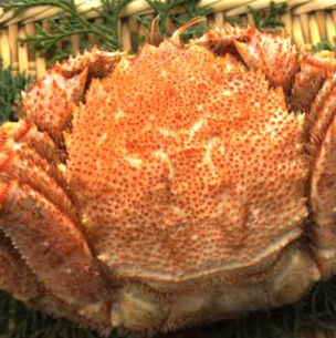 浜茹で毛蟹（１杯）