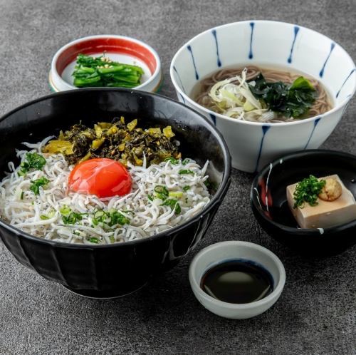 しらす高菜丼と鹿児島びわ茶麺御膳