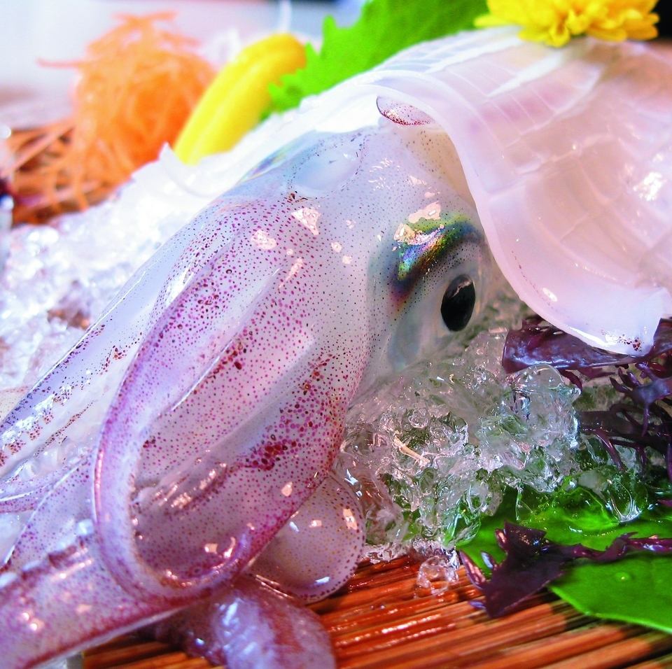 店内に生簀がございます！新鮮なお魚のみをご提供！