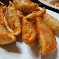 fried gyoza