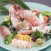 超過1kg！肥美的正午真鯛一套...1套8,500日元（含稅9,350日元）