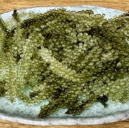 海ぶどう