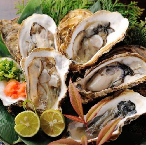 三陸産 殻付き牡蠣 【生、焼き】