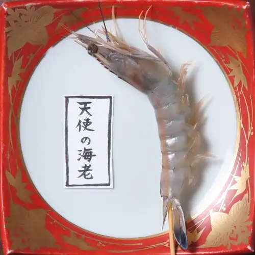天使の海老