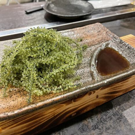 【観光におススメです◎】